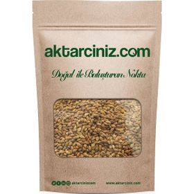Aktarcınız 500 Gr Süpürge Tohumu