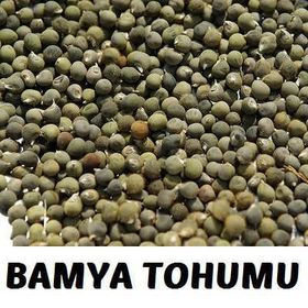 Aktarix 100 gr Bamya Tohumu