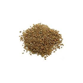Aktarix 250gr Kereviz Tohumu