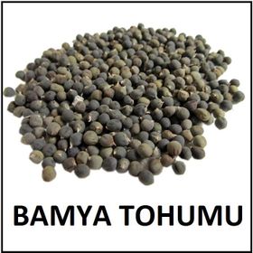 Aktarix 500 gr Bamya Tohumu Tozu