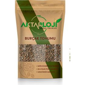 Aktarloji 1 kg Burçak Tohumu
