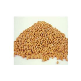 Aktarmarka 1 kg Hardal Tohumu