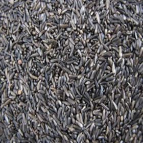 Aktarmarka 1 kg Nijer Tohumu