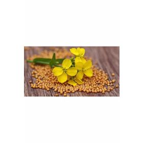 Aktarmarka 500 gr Hardal Tohumu Sarı