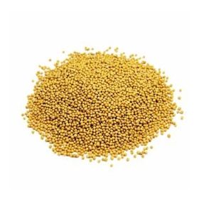 Aktarmarka 500 gr Hardal Tohumu Sarı