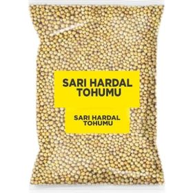 Aktarmarka 500 gr Hardal Tohumu Sarı