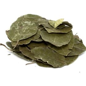 Aktarzane 100 gr Avakado Yaprağı