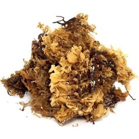 Aktarzane 100 gr Deniz Kadayıfı
