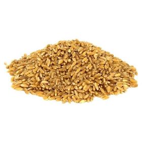 Aktarzane 500 gr Hediklik Buğday Diş Buğdayı
