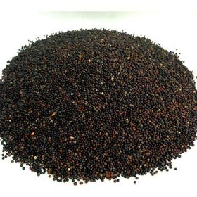 Aktarzane 500 gr Siyah Hardal Tohumu