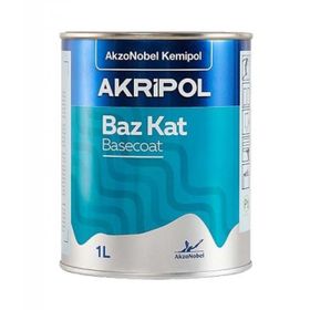 Akzonobel Akripol Bazkat Ford XSC1056 Gümüş Gri Akrilik Sonkat 1 lt Oto Boyası