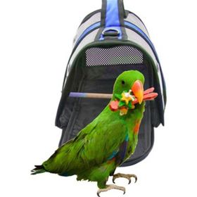Ala Pet 30x22x21 cm Mavi Tünekli Cennet Papağanı Taşıma Çantası