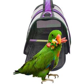 Ala Pet 30x22x21 cm Mor Tünekli Cennet Papağanı Taşıma Çantası