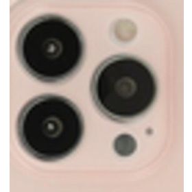 Alan Şanslı iPhone 13 Pro Puma Pembe Silikon Kılıf