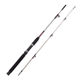 Albastar 1013 Aras 180 cm Tekne Kamışı
