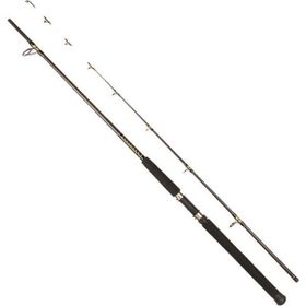 Albastar Barca 3303 Tekne Olta Kamışı
