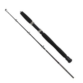 Albastar Boat 120 cm 100-200 gr Olta Kamışı