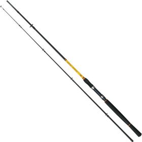 Albastar Bouncy 240 cm 15-40 g Atarlı Karbon Spin Olta Kamışı