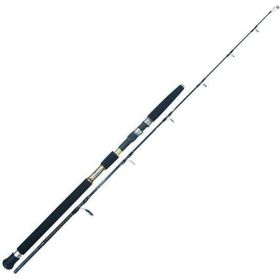 Albastar Elements 180 cm 230 gr Atarlı Jig Olta Kamış