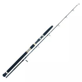 Albastar Elements 180 cm 230 gr Atarlı Jig Olta Kamış