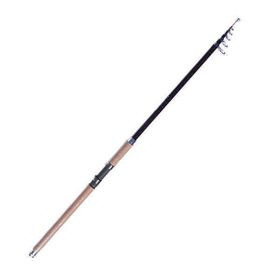 Albastar Leader 3234 300 cm Balıkçı Olta Kamışı