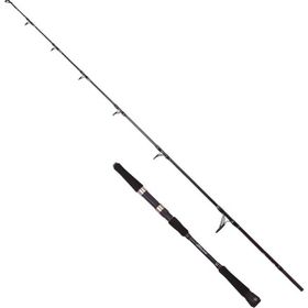 Albastar Novus 165 cm 100-200 gr Aksiyonlu Tetikli Jig Olta Kamışı
