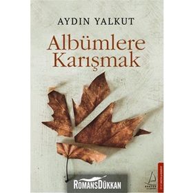Albümlere Karışmak - Aydın Yalkut