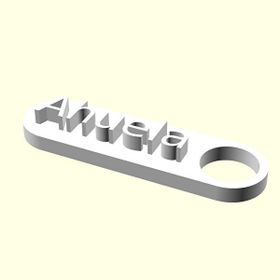 Aldım Geldi Ahuela Kişiye Özel Üretim Organik Plastik Zincirsiz 3D Baskı Anahtarlık