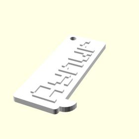Aldım Geldi Aynur Kişiye Özel Üretim Organik Plastik Zincirsiz 3D Baskı Anahtarlık