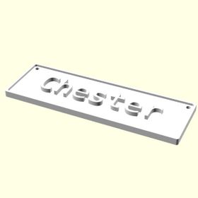 Aldım Geldi Chester İsme Özel Üretim Zincirsiz Organik Plastik Kedi - Köpek Hayvan Künyesi