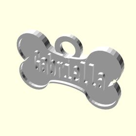 Aldım Geldi Gabriella İsme Özel Üretim Zincirsiz Organik Plastik Kedi - Köpek Hayvan Künyesi