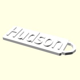 Aldım Geldi Hudson İsme Özel Üretim Zincirsiz Organik Plastik Kedi - Köpek Hayvan Künyesi