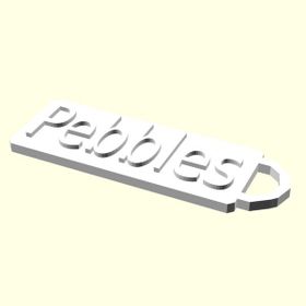 Aldım Geldi Pebbles İsme Özel Üretim Zincirsiz Organik Plastik Kedi - Köpek Hayvan Künyesi