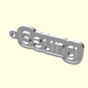 Aldım Geldi Seung Kişiye Özel Üretim Organik Plastik Beyaz Renk 3D Baskı Anahtarlık Tutucu