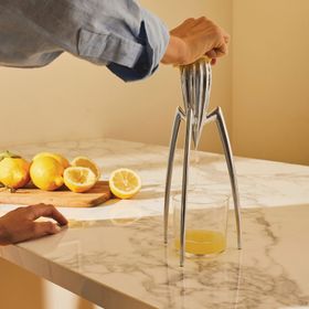 Alessi Juicy Salif 29 cm Limon Sıkacağı