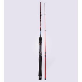 Alesta Best Stick 270 cm 10-30 gr 2 Parça Spin Kamış