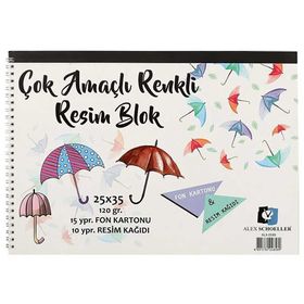 Alex ALX-0589 25x35 120 gr Renkli 25'li Resim Defteri