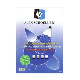 Alex Schoeller 35x70 cm 120 gr 100 Yaprak Resim Kağıdı