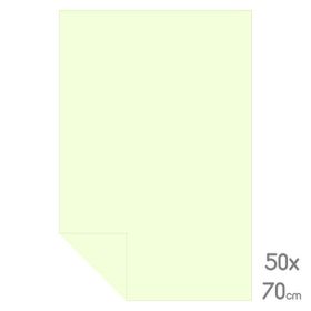 Alex Schoeller 50x70 160 gr Krem Fon Kartonu