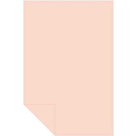 Alex Schoeller Kolej 160 gr Somon No:05 50x70 cm 100'lü Fon Kartonu