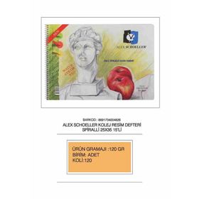 Alex Schoeller Spiralli 25x35 120 gr 15 Yaprak Resim Defteri