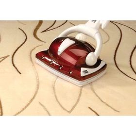 Alf BT-123 Hero 1200 W A Sınıfı Su Filtreli Buharlı Temizlik Makinesi
