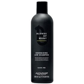 Alfaparf Blends Of Many Enerji Veren 250 ml Şampuan