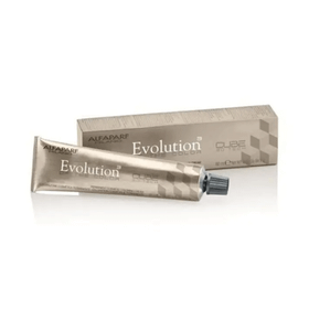 Alfaparf Evolution No:1.11 Siyah Mavi Saç Boyası