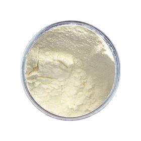 Alfasol 2.5 kg Peynir Altı Suyu Tozu %70