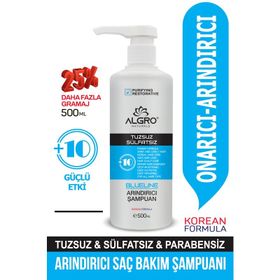 Algro Blueline Tuzsuz Arındırıcı 500 ml Saç Bakım Şampuanı