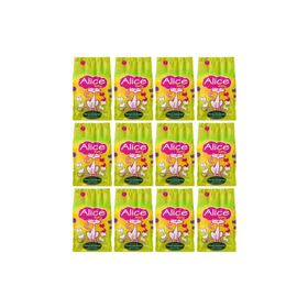 Alice Kitty Super Premium 12x1 kg Yavru Kedi Maması