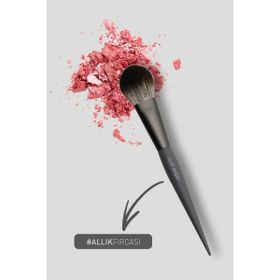 Alix Avien Blusher Brush