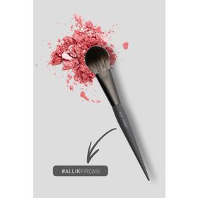 Alix Avien Blusher Brush