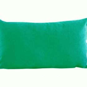Alkan Homes 32X54 cm Çift Taraflı Su Yeşili Rengi Kadife Dokulu Dikdörtgen Yastık Kırlent Kılıfı